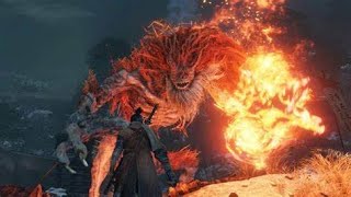 Demon of Hatred Boss Fight - Sekiro Shadows Die Twice Gameplay