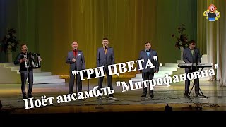 "ТРИ ЦВЕТА". Поёт ансамбль "Митрофановна".