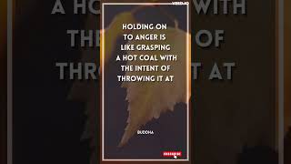 Don't Hold on to Anger  #BuddhaQuotes #Quotes #motivatonalshorts #inspirationalquotes