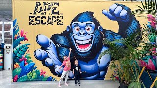 Ape Escape / Indoor play centre