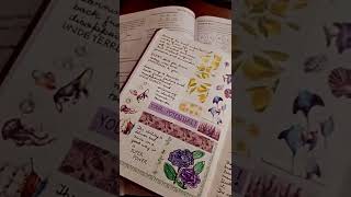 quick journal spread | easy bullet journaling | #shorts