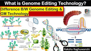 What is genome editing technology and how is it different from GM technology? | GMO Tech | GM Crops