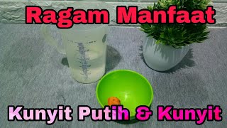 Manfaat Kunyit putih & Kunyit Ragam Manfaat