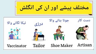 Professional Jobs and Occupations Vocabulary words in English with Urdu Meanings