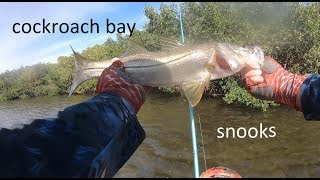 Great First Fishing Trip At Cockroach Bay