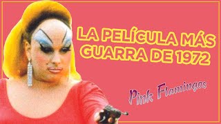 La película más GUARRA de 1972 - Pink Flamingos: Resumen y opinión