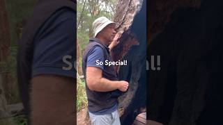 Man Shares Emotional Story With Tree