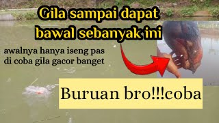 Awalnya iseng bikin umpan bawal harian..Gilaa bikin kaget hasilnya