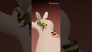 Know 'Why a bee die after biting human' in a minute