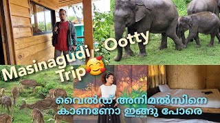 മസിനഗുടി - ഊട്ടി ട്രിപ്പ്‌ പോയി ഗയ്‌സ്🙄കാട്ടുമൃഗങ്ങളെ കണ്ട് കൊതിയും മതിയും തീർന്ന് 🦍adventure trip🐻🐘