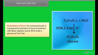 Grade 12 | Biology |  Biomolecules | Free Tutorial | CBSE | ICSE | State Board