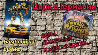 Цирк в Германии! Цены, программа и многое другое! Бамблби на сцене!