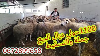 1100حولي ذيال العيذ عند @amkoye لبغا ارشم من دبا مرحبا 0672899658