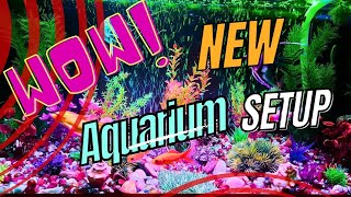 Ultimate Aquascaping | Transforming My Aquarium Setup | Beautiful Aquascaping Idea for Any Fish Tank