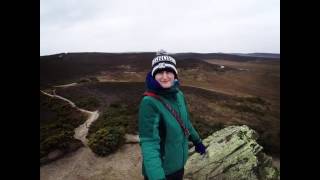 The view from Agglestone Rock