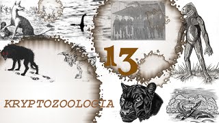 13# Kryptozoologia - Czarny tapir Breveta