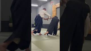 #shorts Estudo de Ik-kyo com sensei Stéphane Goffin no Munen Mushin Dojo em Recife