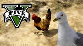 GTA V  PS4:  Seagull Gameplay!