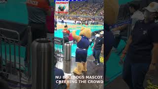 Nu Bulldogs Mascot Dancing Cheering NU vs UST Championship May 2024