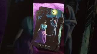 Bohemian Gothic Tarot (Baba Studio) (mini) flip through