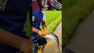 Amazing village cute girl catching fish in rainwater #fishing #fishvideo #shortsRural Fishing BD