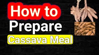 How to make Cassava meal for Livestocks feed