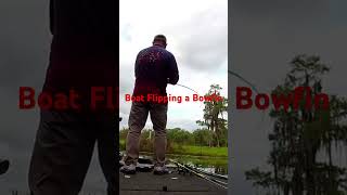 Boat flip #fishing #bassfishing #fish #youtube #foryou #fun #shorts #short #fyp #bass #gopro #angler