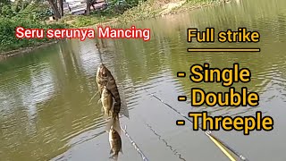 SERU SERUNYA MANCING IKAN NILA LIAR