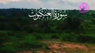 Quran Translation l Urdu Surah Ankaboot Quran Only Translation Urdu