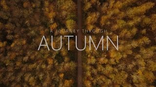 A Journey Through Autumn