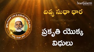 Divya Sudha Dhara | ప్రకృతి యొక్క విధులు | Heartfulness Telugu | 29-10-2024