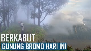 GAGAL SUNRISE, BERKABUT, GUNUNG BROMO HARI INI DARI PENANJAKAN BUKIT CINTA