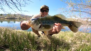 Pond Fishing For Bass... My BIGGEST BASS!