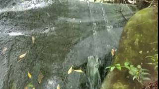 Panthertown Valley Waterfall