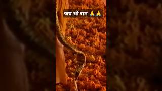 Ram Ayenge 🙏 #ram #viralvideo #shortvideo #shorts #tranding #shortsvideo #shortsfeed #ayodhya 🙏🙏