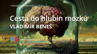 prof. Vladimír Beneš, Cesta do hlubin mozku