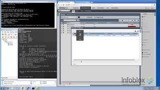 Demo Video: Infoblox NIOS vDiscovery for VMware ESXi/vCenter