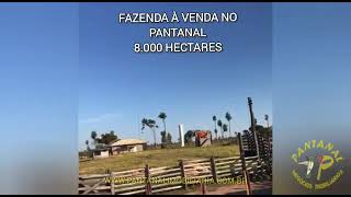 Fazenda à venda no Pantanal