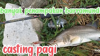 casting barramundi pagi ikannya pada lapar