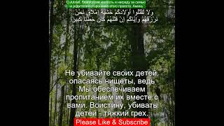 Коран Сура Аль Исра | 17:31 | Чтение Корана с русским переводом | Quran Translation