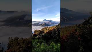 Bromo