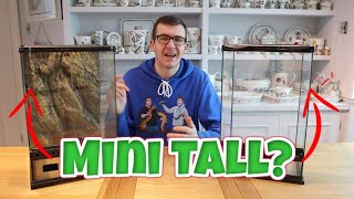 What to put in a MINI TALL tank? | Tank Suggestions