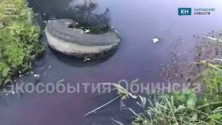 В Калужской области воды одной из рек превратились в "кровавые"