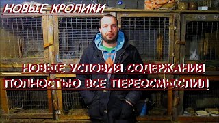 Условия содержания кроликов. // Полностью меняю подход // Вовкин Двор!!!