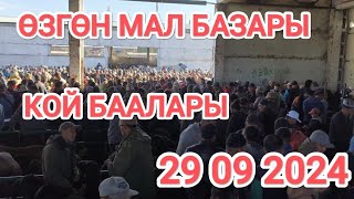 ӨЗГӨН МАЛ БАЗАРЫ 29 09 24