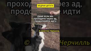 Цитаты со смыслом #цитаты #притча  #мотивация