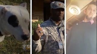 Stolen Valor Mistake Veterans Day Chilis