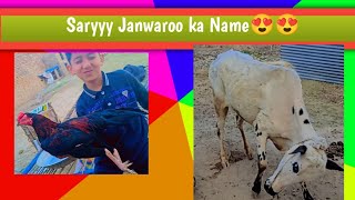 Ajj sary Janwaro ka naam bataiye|😍😍 Aur Hum naye new Farm Banaya haa|🤗🤗