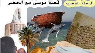 الرحله العجيبه