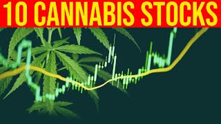 10 Best Cannabis Stocks To Buy Immediately/Stock Adviser